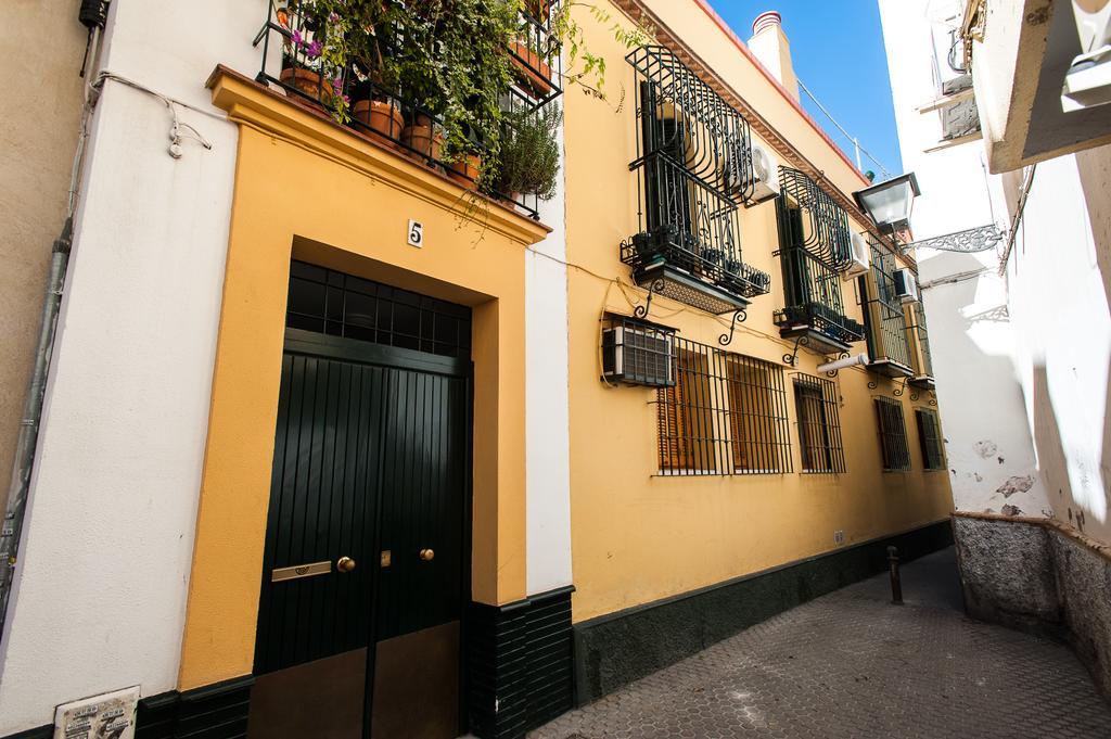 Loft Basilica Macarena Sevilla
